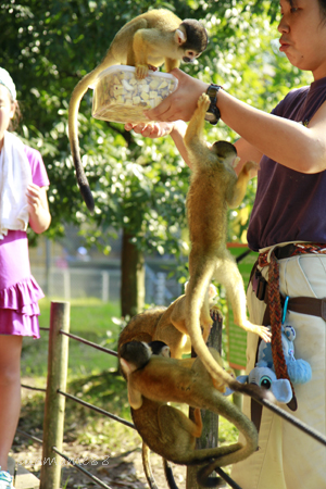 2011_09_10_4399.jpg
