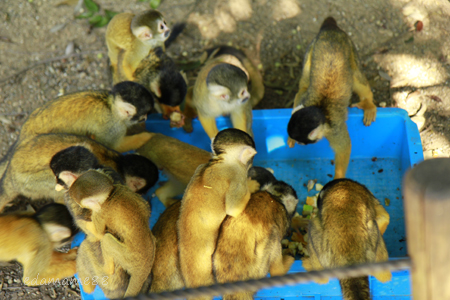 2011_09_10_4402.jpg