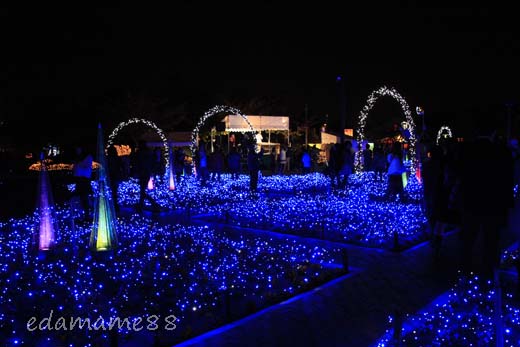 2011_11_18_5989.jpg