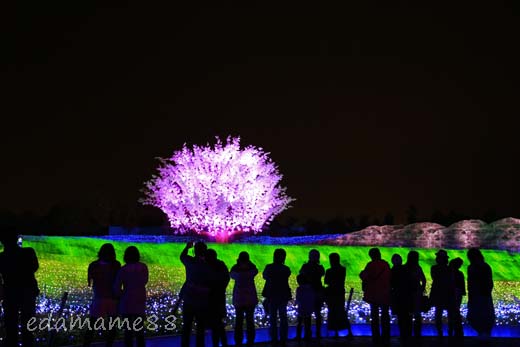 2011_11_18_6033.jpg