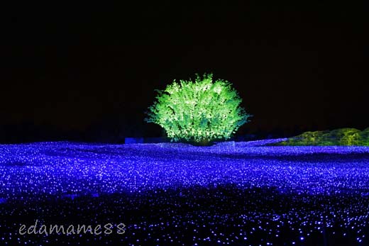2011_11_18_6037.jpg