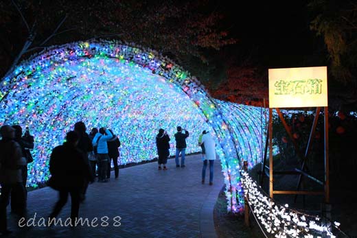 2011_11_18_6064.jpg