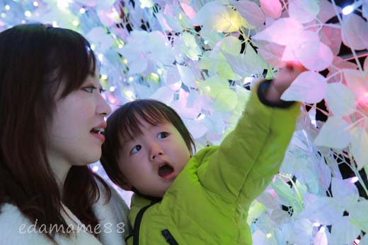 2011_11_18_6066.jpg