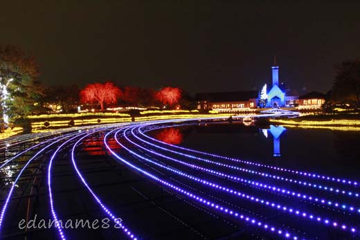 2011_11_18_6070.jpg