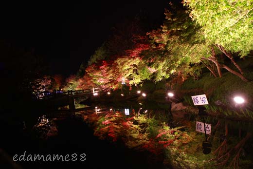 2011_11_18_6078.jpg