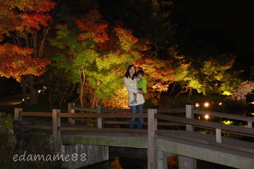 2011_11_18_6080.jpg