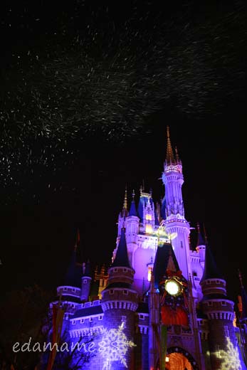 2011_11_12_5958.jpg