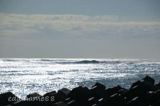 2012_01_06_6388.jpg