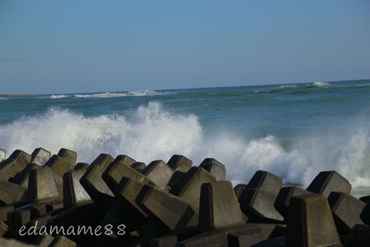 2012_01_06_6389.jpg