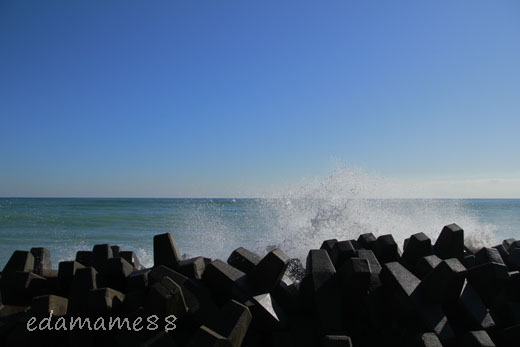2012_01_06_6395.jpg