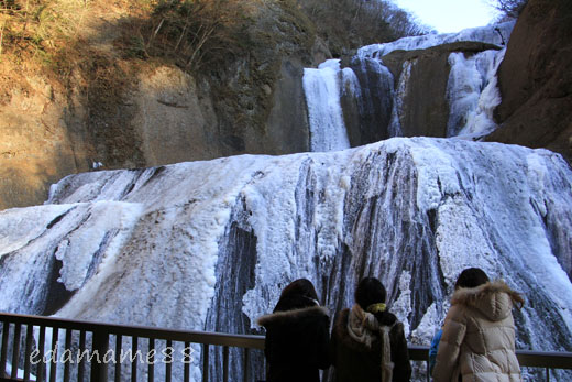 2012_01_06_6406.jpg