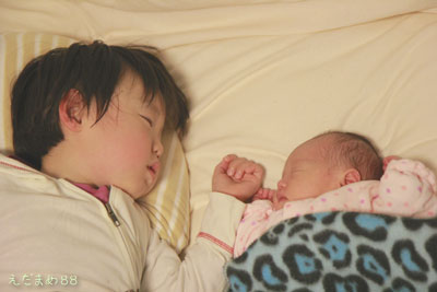 2012_11_12_6946.jpg