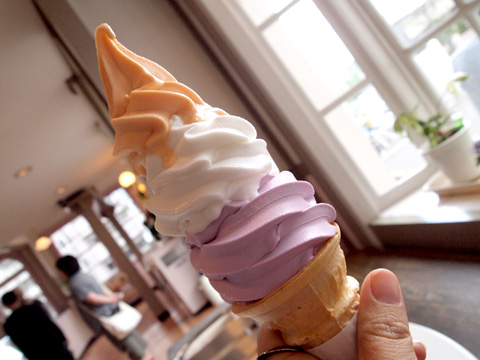 ミルクプラント