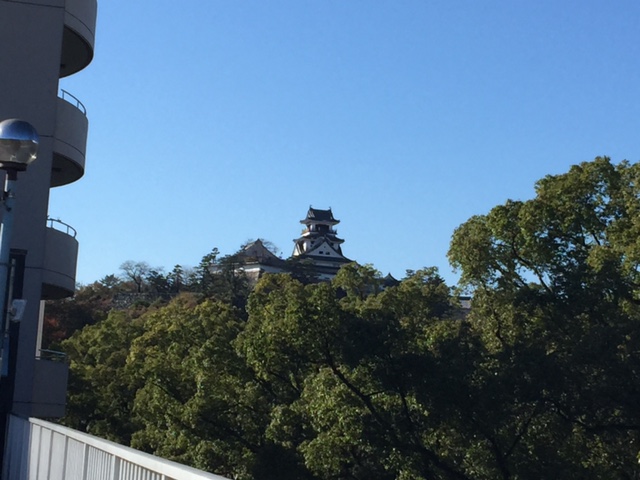 image1.JPG