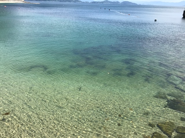 image1.JPG