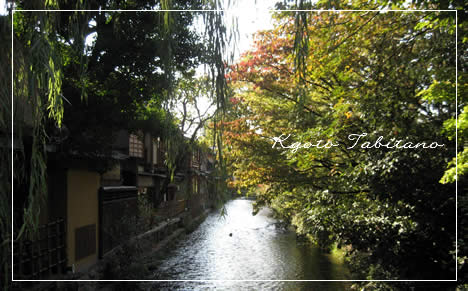 祇園白川 紅葉
