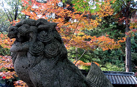 鍬山神社 紅葉