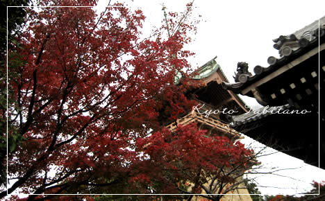 祇園閣 紅葉