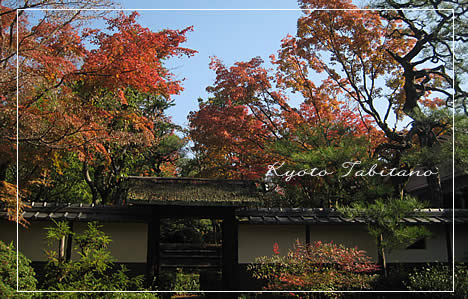 松花堂庭園 紅葉
