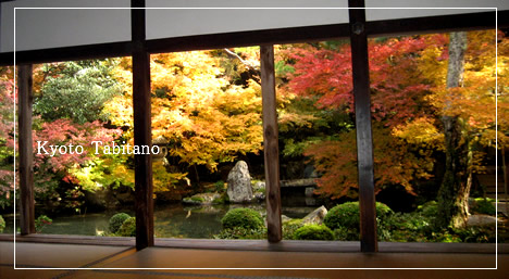 蓮華寺 紅葉