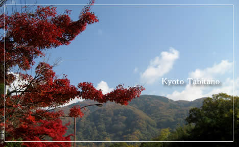 八瀬 紅葉