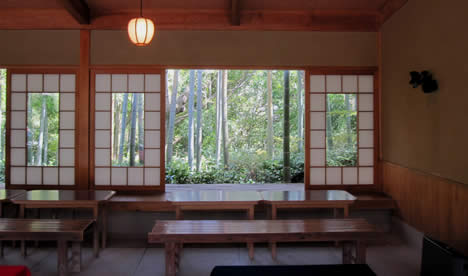 大河内山荘 桜