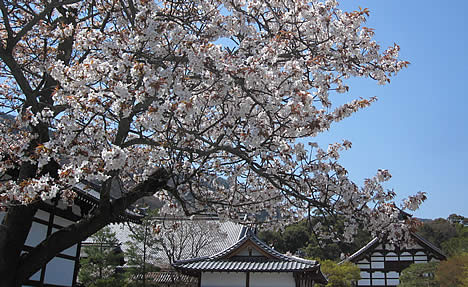 天龍寺