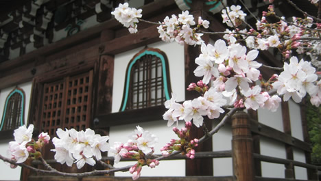 本法寺