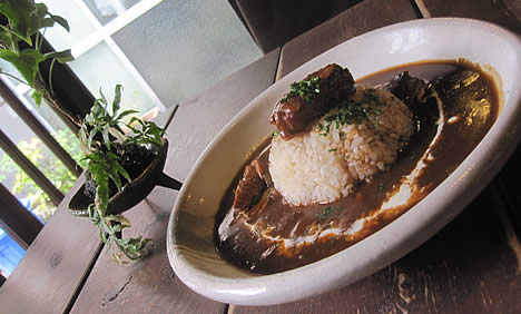 かりれんげ