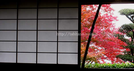 金福寺 紅葉