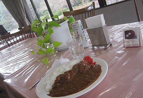 京都御苑 ランチ