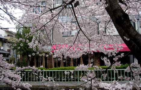 北白川 リーボン