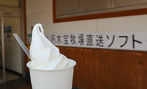 朽木宝牧場ソフトクリーム