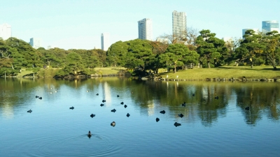 20181115_2718633.jpg