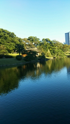 20181115_2718670.jpg