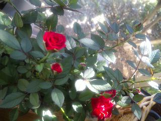 091010_0945041.jpg