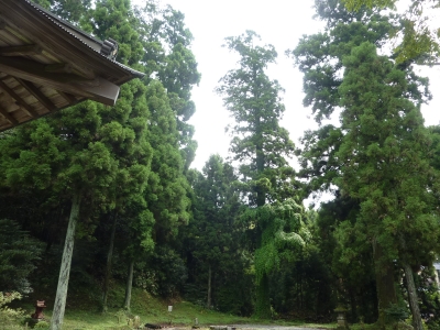 P1060612.JPG