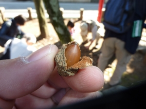 20111029µÈ¸¶Ëܽɹֺ¡¡
