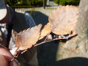 20111029µÈ¸¶Ëܽɹֺ¡¡