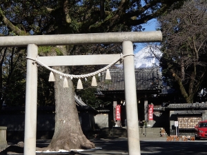 富士山専門店　東海道表富士　富士山　グッズ　村山　富士山修験　古道　ツアー