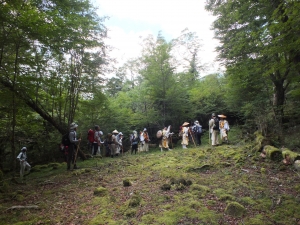 富士山専門店　東海道表富士　富士山　グッズ　村山　富士山修験　古道　ツアー