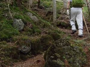 富士山　海から　登山　村山　古道　東海道表富士　西川卯一