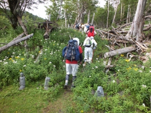 富士山　海から　登山　村山　古道　東海道表富士　西川卯一