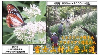 富士山　専門店　東海道表富士　西川卯一　村山登山道　ガイド　海から登山　講師