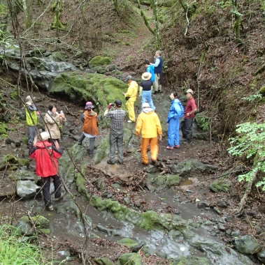 ふじさんあそび しずおか遊びたい券 下山ツアー 冬の富士山 富士山専門 ガイド 西川卯一 しらす 絶景 下山 2015 2016