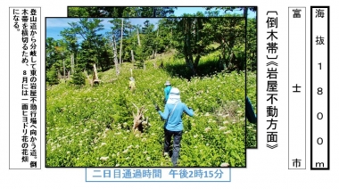 東海道表富士 西川卯一 富士山ガイド 村山古道 海から富士登山 山伏