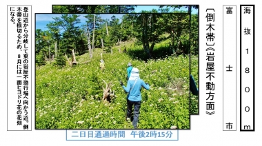 東海道表富士　西川卯一　富士山ガイド　村山古道　海から富士登山　山伏