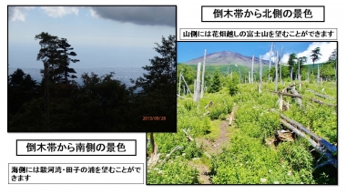 東海道表富士　西川卯一　富士山ガイド　村山古道　海から富士登山　山伏