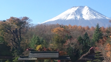 富士山 専門店 忍野八海 忍野富士 東海道 表富士