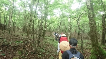 東海道表富士　富士山専門店　村山古道　ルート3776　ゼロ富士　富士登山ガイド　西川卯一